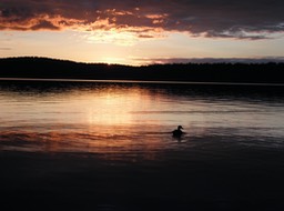 2015-08-20 - Meacham Lake 163 - 056