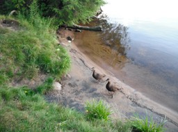 2015-08-20 - Meacham Lake 163 - 085