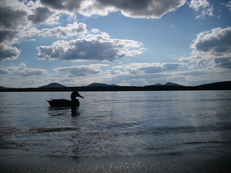 2015-08-20 - Meacham Lake 163 - 064