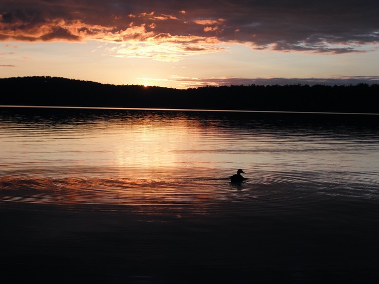 2015-08-20 - Meacham Lake 163 - 056