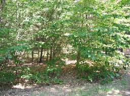 2015-09-07 - Meacham Lake 21 - 014