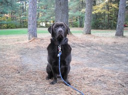 2015-10-09 - Meacham Lake 15 - 033