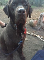 2016-05-23 - Meacham Lake #31 - 068