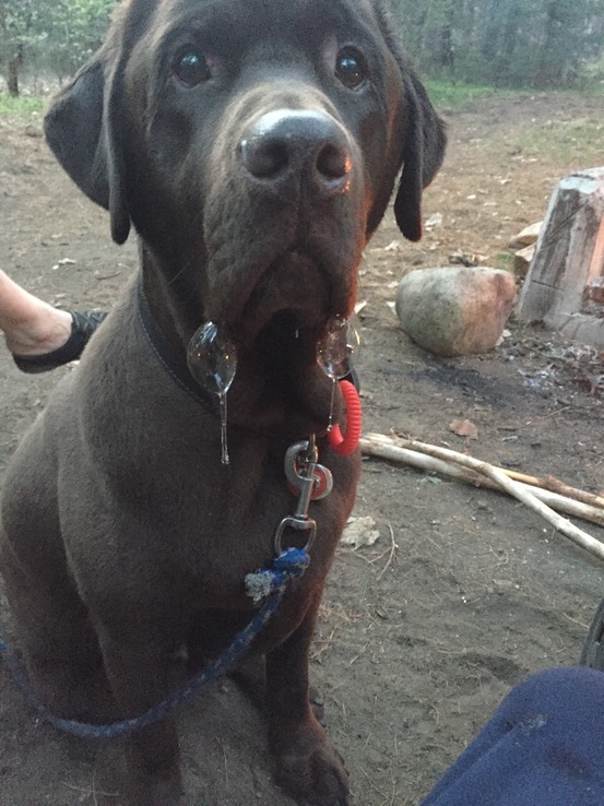 2016-05-23 - Meacham Lake #31 - 068