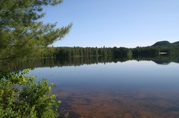 2016-06-25 - Maxine 1 an - Buck Pond #12 - photos PG - 072