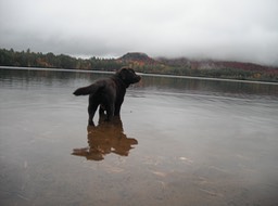 2016-10-07 Buck Pond #12 - 041