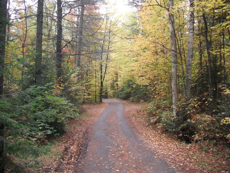 2016-10-07 Buck Pond #12 - 020