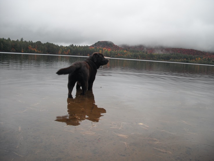 2016-10-07 Buck Pond #12 - 041