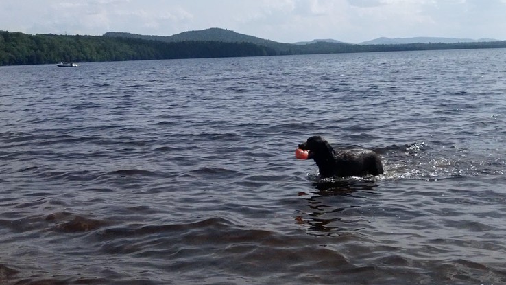 aout-2014---meacham-97--