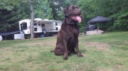 Aout 2014 - Meacham 97 - 030