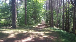 Juil 2012 - Meacham 19 - 096