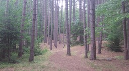 Juil 2012 - Meacham 31 - 035