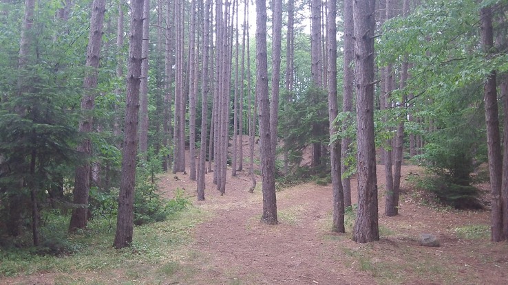 Juil 2012 - Meacham 31 - 035