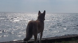 Juil 2013 - Fête Ausable 15 - 024