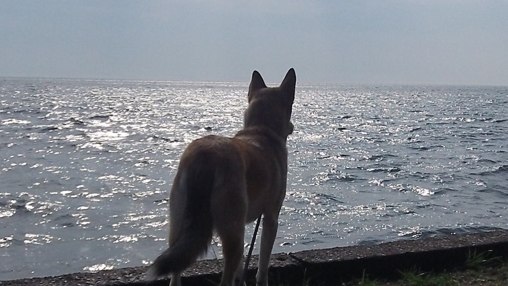 Juil 2013 - Fête Ausable 15 - 024