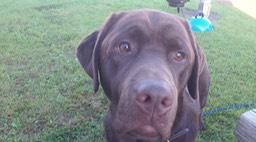 Juil 2013 - Plattsburgh RV & Howard Fishing - 035