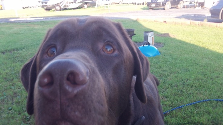 Juil 2013 - Plattsburgh RV & Howard Fishing - 034