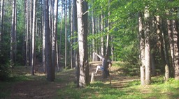 Juil 2014 - Meacham 31 - 015