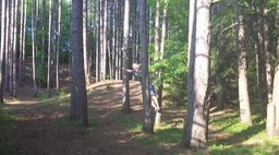 Juil 2014 - Meacham 31 - 016