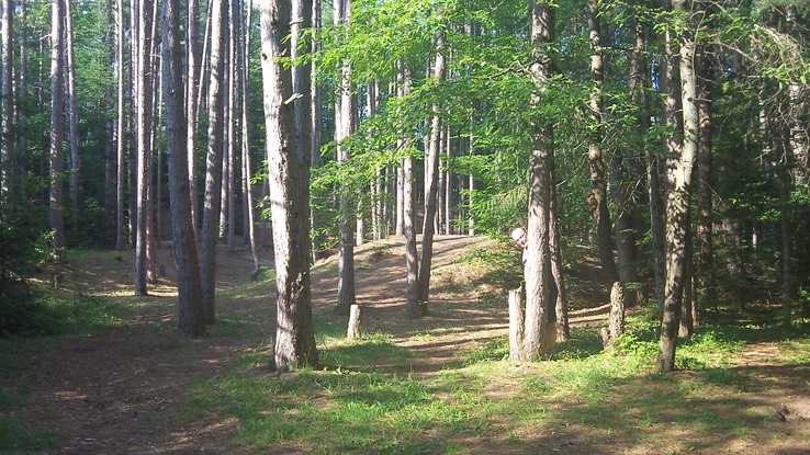 Juil 2014 - Meacham 31 - 014