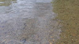 Juin 2014 - Saco River 83 - 069