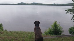 Juin Juillet 2015 - Ausable Point 15 et Meacham 97 - 059