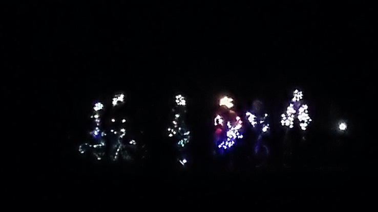 Juin Juillet 2015 - Ausable Point 15 et Meacham 97 - 111