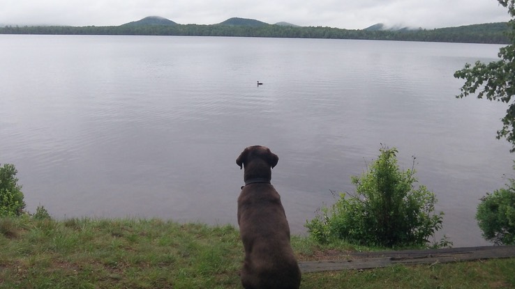 Juin Juillet 2015 - Ausable Point 15 et Meacham 97 - 059