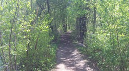 Mai 2012 - Ausable Point # 76 - 103