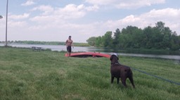 Mai 2012 - Long Sault Woodland # 32 - 013