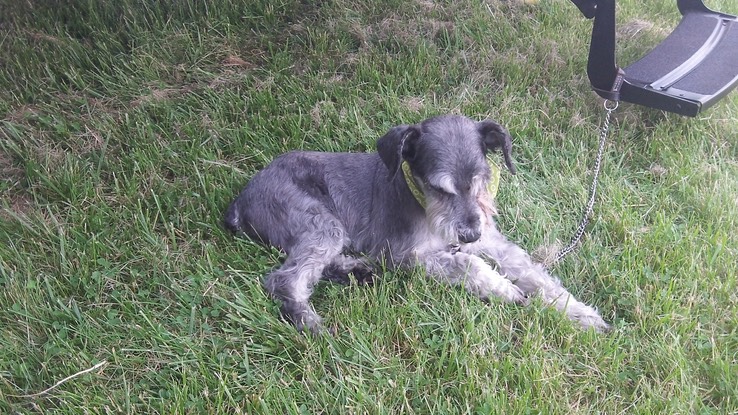 Mai 2012 - Long Sault Woodland # 32 - 012