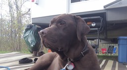 Mai 2014 - Ausable Point 76 - 023