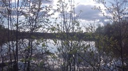 Mai 2014 - Ausable Point 76 - 028