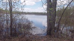 Mai 2014 - Ausable Point 76 - 002