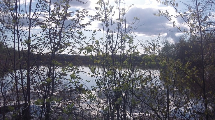 Mai 2014 - Ausable Point 76 - 028