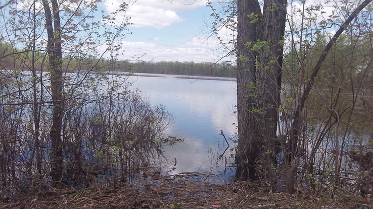 Mai 2014 - Ausable Point 76 - 002