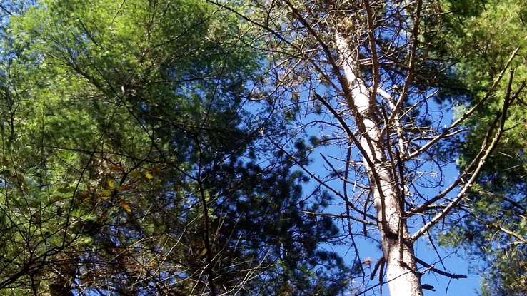 oct-2013---meacham-lake-32-