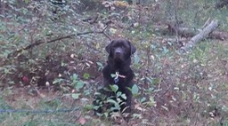 Oct 2013 - Meacham Lake 32 - 033