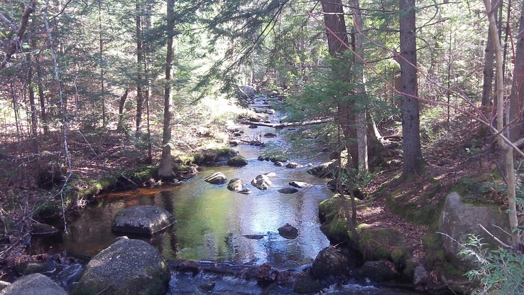 Oct 2013 - Meacham Lake 32 - 043