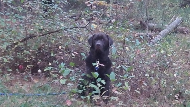 Oct 2013 - Meacham Lake 32 - 033