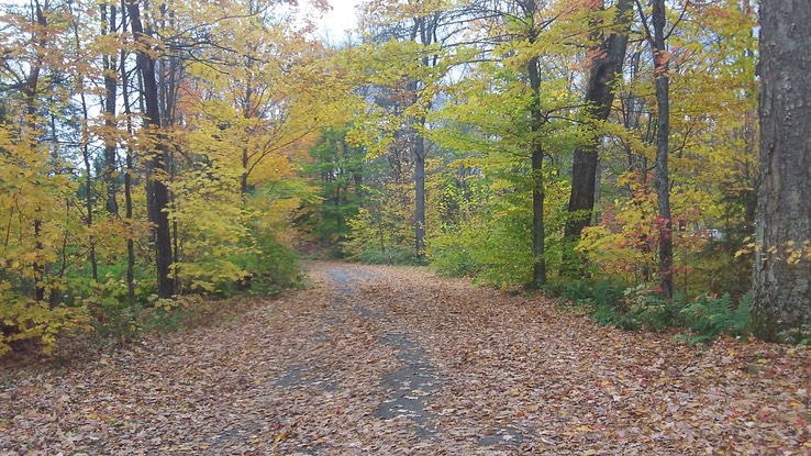 Oct 2014 - Meacham 15 - 003