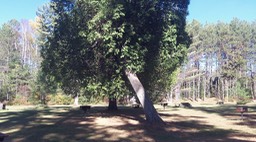 Oct 2014 - Meacham 15 - 029