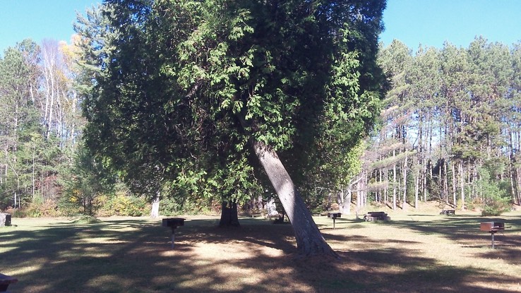 Oct 2014 - Meacham 15 - 029