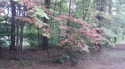 Sept 2012 - Meacham 32 - 011