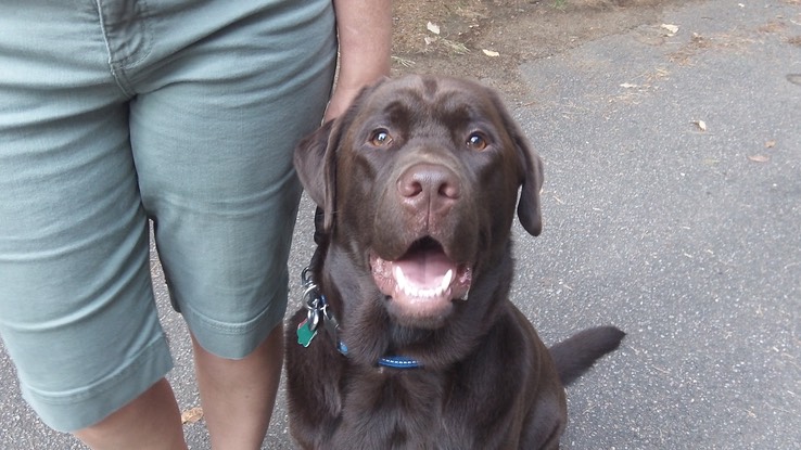 Sept 2012 - Meacham 32 - 014